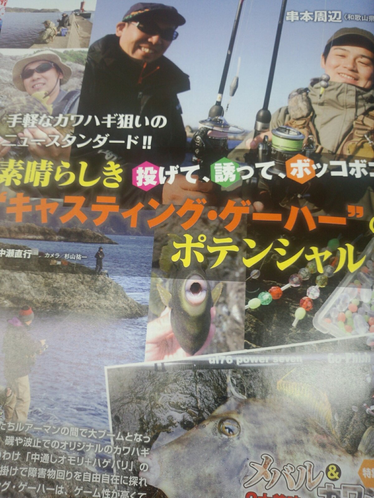 ワンピース 夢 小説 ゾロ Vision 総合ﾗﾝｷﾝｸﾞ1位 10位 Amp Petmd Com