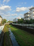 仙川