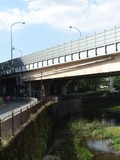 仙川