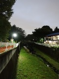 仙川