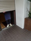 開店