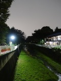 仙川