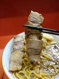 豚1