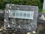 芦花公園