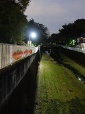 仙川
