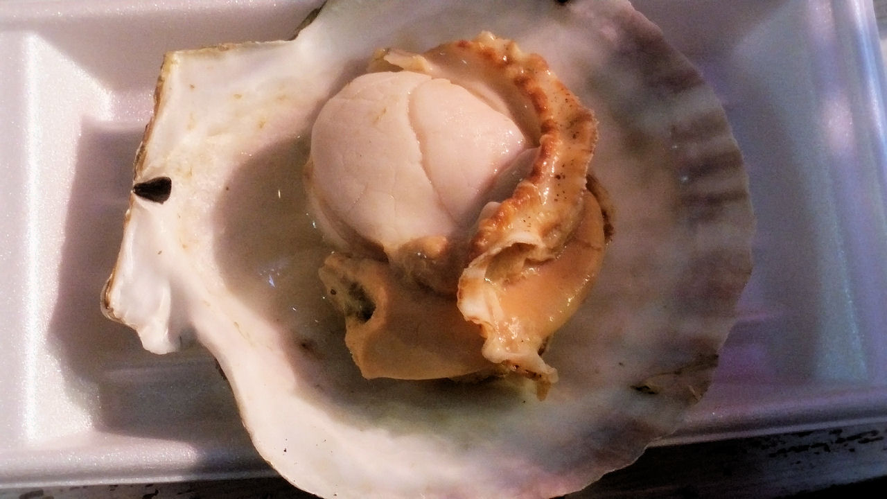 立ち飲み 魚草 上野御徒町 東京都台東区 月見草のように 立ち飲み 魚草 上野御徒町 東京都台東区 月見草のように