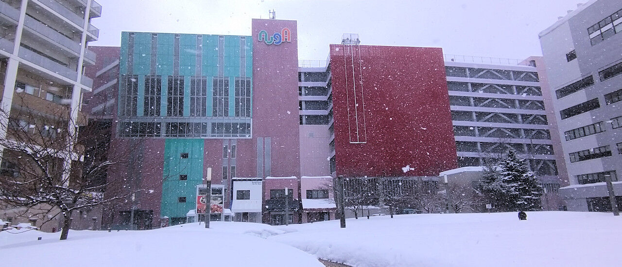 刺身定食 市場食堂 青森 青森県青森市 月見草のように