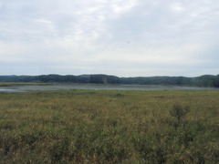 DSCN1226