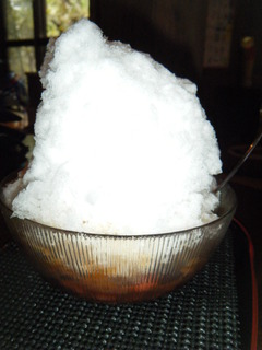 2011/02_����6