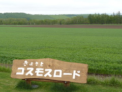 2008/5_��ɸ�Ťذ�ư1