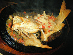 2011/02_���̤ޤ�6