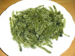 2010/02_なかま食堂3