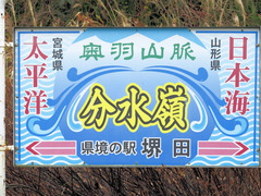 DSCN8333