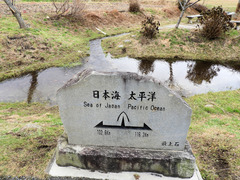 DSCN8342