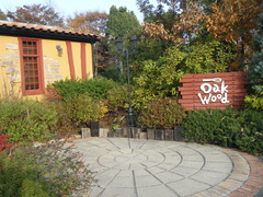 2010/11_���������å�2