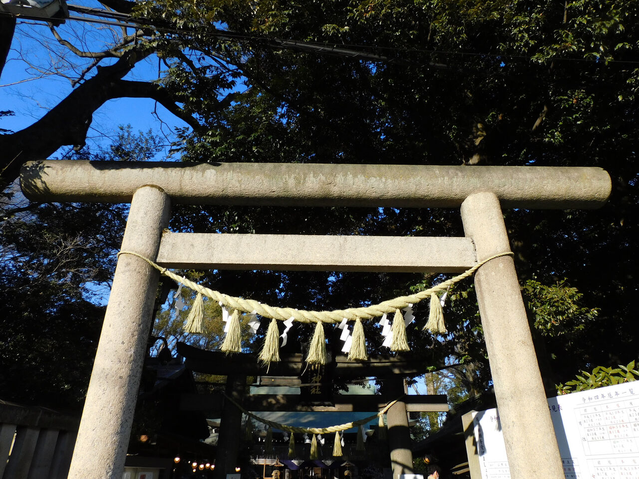 初詣2 川越氷川神社 埼玉県川越市 月見草のように