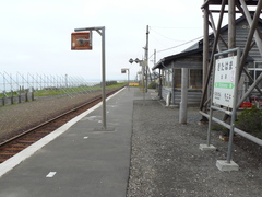2008/5_����2