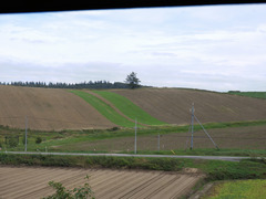 DSCN1159