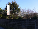 梅の家:駐車場