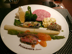 Primavera classic���Х����󥰻�