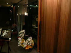 Primavera classic������