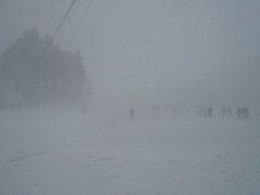 ���Ρ�����޿�Ʋ��������