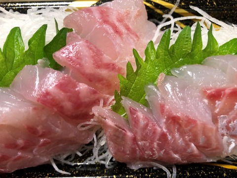兵庫産天然真鯛お造り