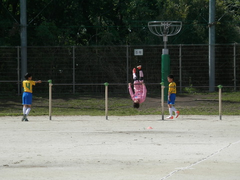P5037775