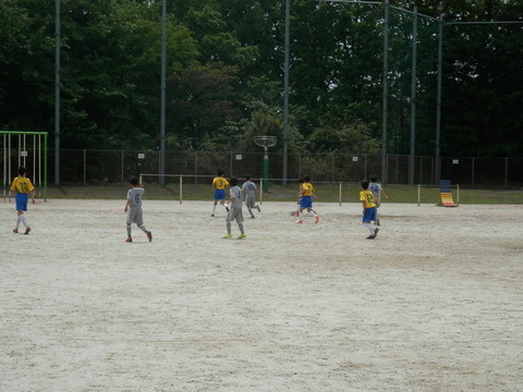 P5037784