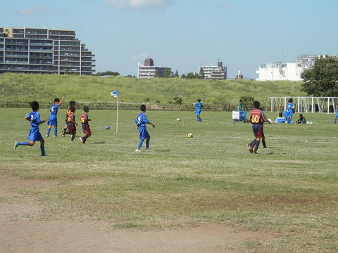 P8225392