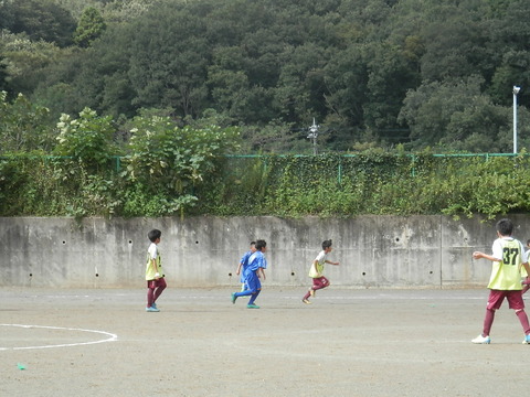 P9235838