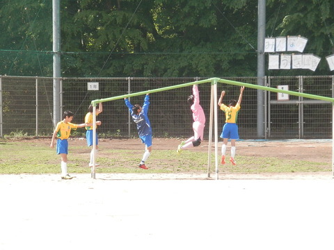 P5037774