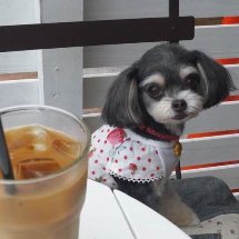 o0800053312231925171