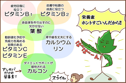 青汁2