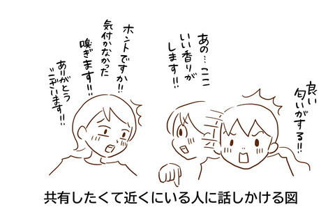 ふしぎな15