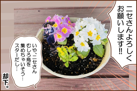 はなを5