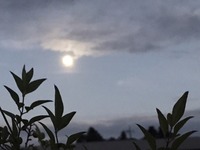 FB-xMu1VkAoPCqc