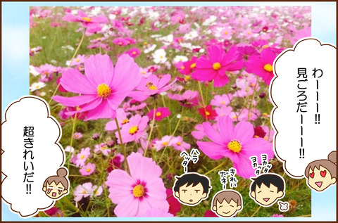 コスモス４