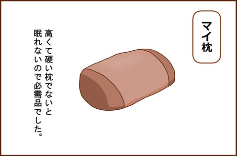 ふせいみゃく33-3