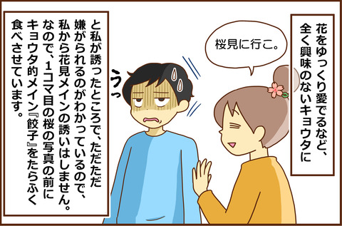 おはなみ２