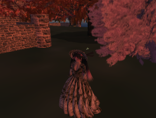 Snapshot_0582