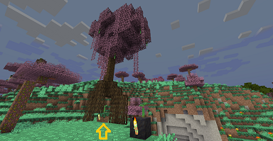 アプデ マングローブで色々 ボケっとマイクラ