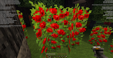 黒樫の森突入 ボケっとマイクラ