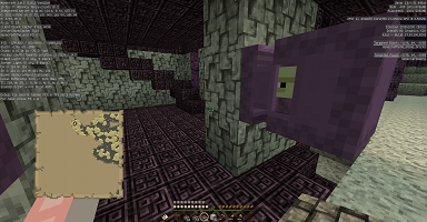 近所 エンドシティ初潜入 ボケっとマイクラ