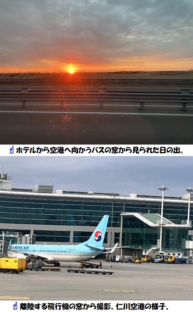 韓国レポ①