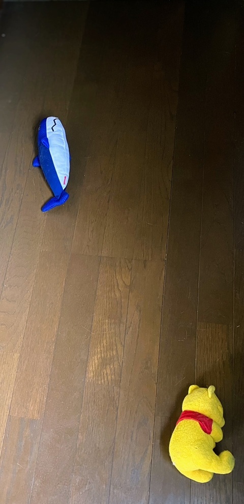 放置呑太