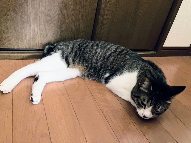 火サス呑太②