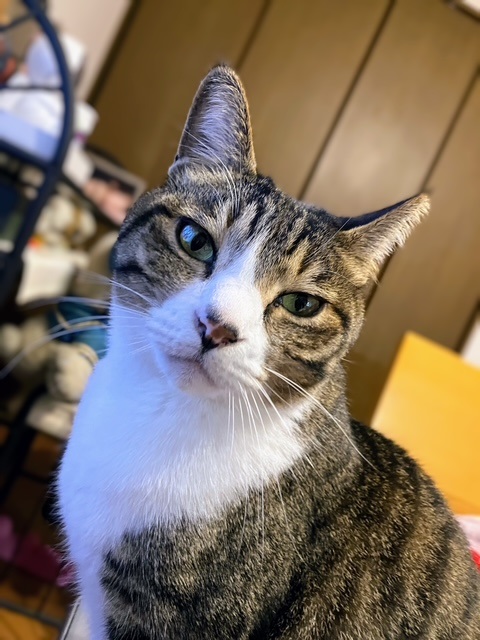 ストーブ呑太③