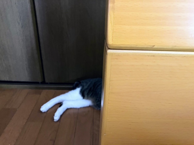 火サス呑太①