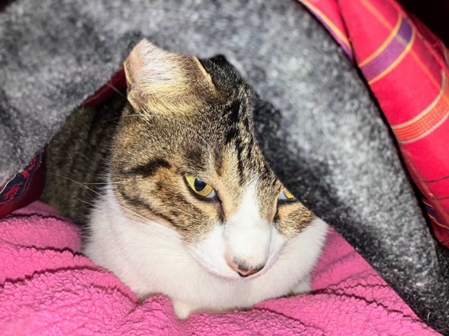 ママ半吞太2024③